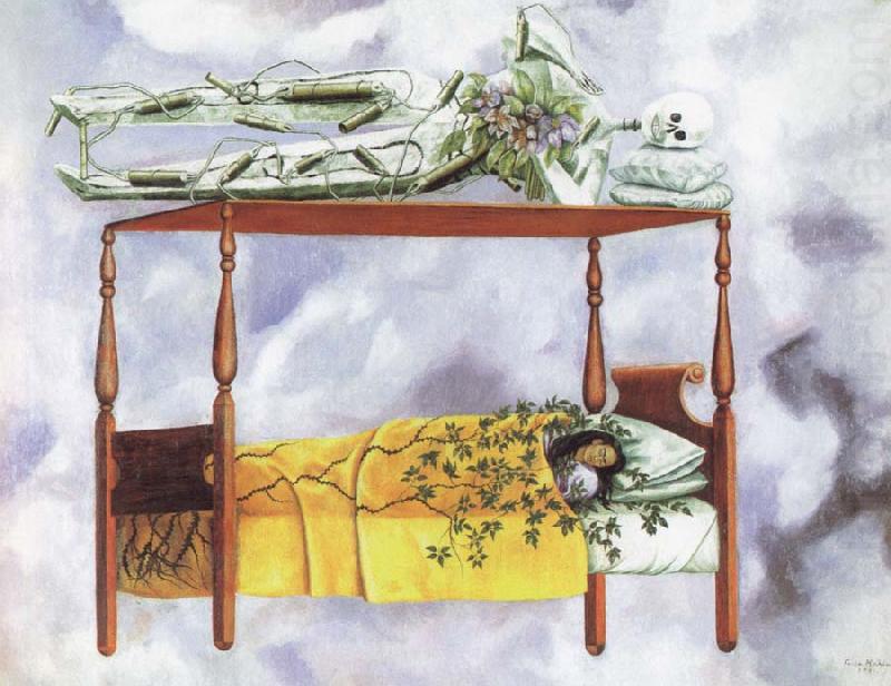 Frida Kahlo the dream china oil painting image